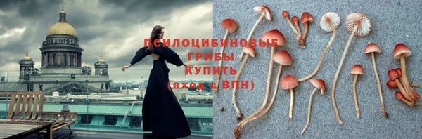 ПСИЛОЦИБИНОВЫЕ ГРИБЫ Вязьма